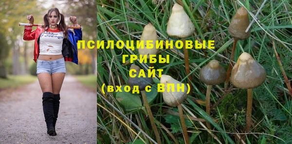 мескалин Новокубанск