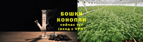 ПСИЛОЦИБИНОВЫЕ ГРИБЫ Новозыбков