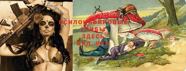 спайс Новодвинск