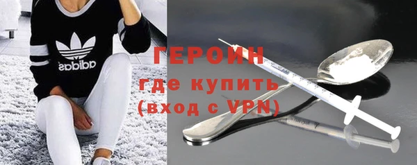 ПСИЛОЦИБИНОВЫЕ ГРИБЫ Новозыбков