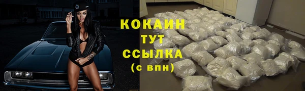 ПСИЛОЦИБИНОВЫЕ ГРИБЫ Новозыбков