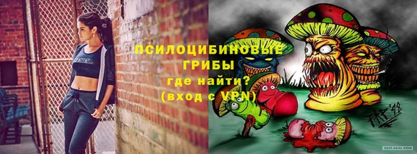 спайс Новодвинск