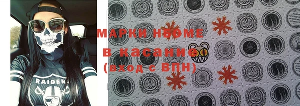 ПСИЛОЦИБИНОВЫЕ ГРИБЫ Новозыбков