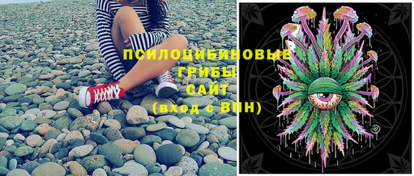 спайс Новодвинск