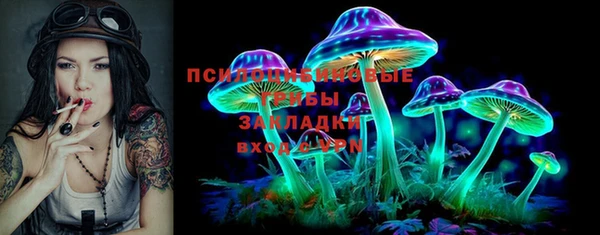 спайс Новодвинск