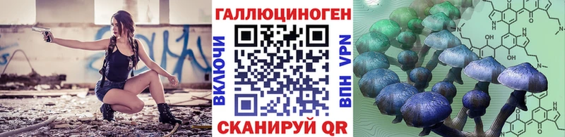 площадка клад  Сусуман  Псилоцибиновые грибы мицелий 